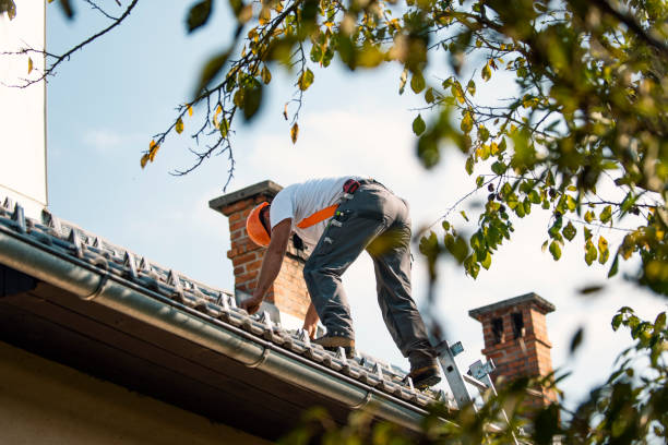 Best Roof Maintenance Services  in Armada, MI