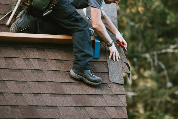 Best Metal Roofing Contractor  in Armada, MI
