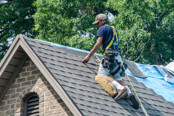 Best Residential Roofing Contractor  in Armada, MI